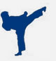 Taekwondo